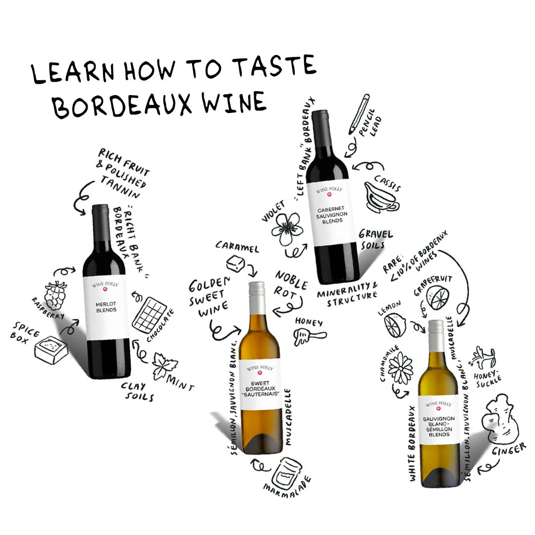 Bordeaux 101 - Image 4