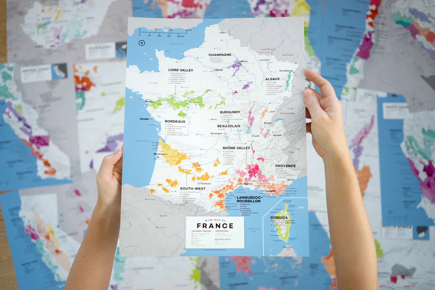 Wine Folly Wine Map Set - 2nd Edition - Image 6