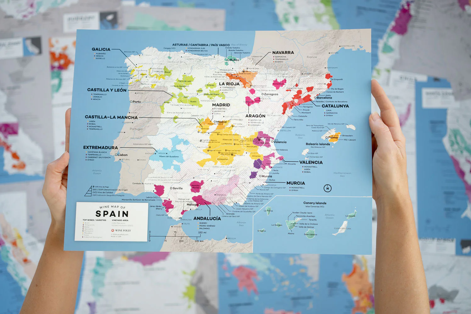 Wine Folly Wine Map Set - 2nd Edition - Image 8