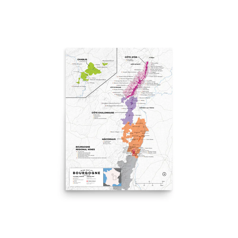 France Bourgogne (Burgundy) Wine Map - 2nd Edition - Image 4