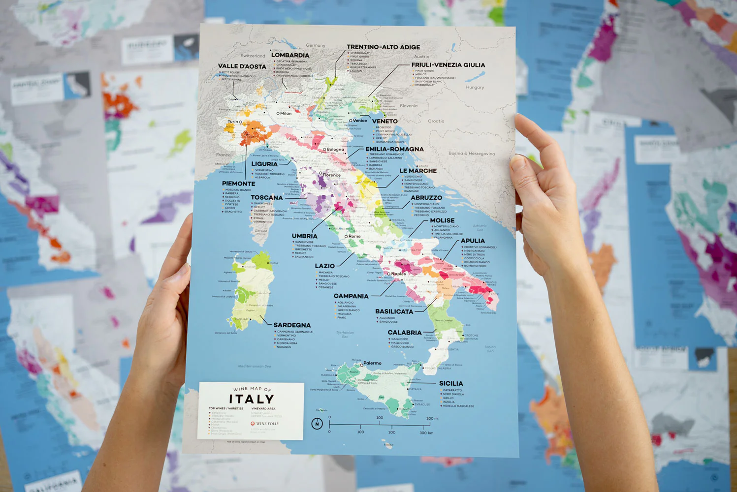 Italy Wine Map - 2nd Edition - Image 6