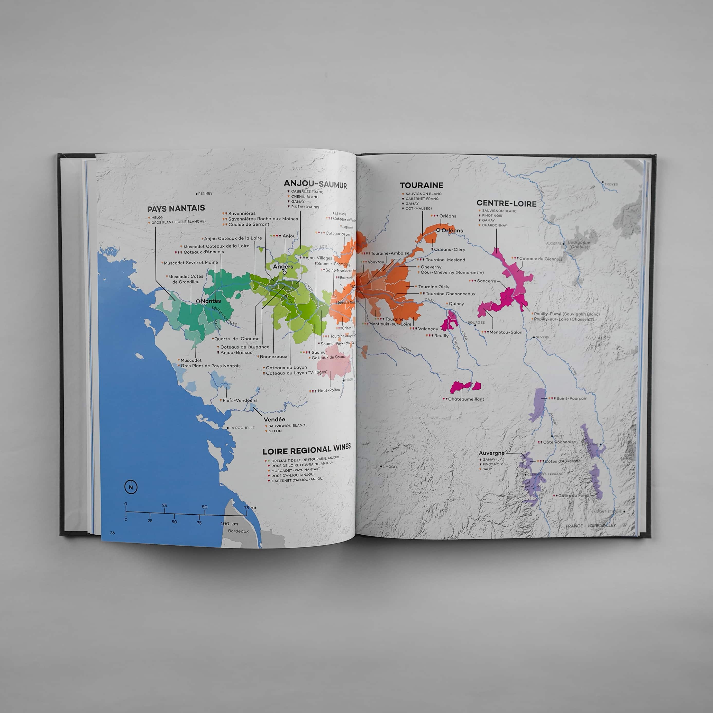 Wine Folly Wine Maps Book - Image 6