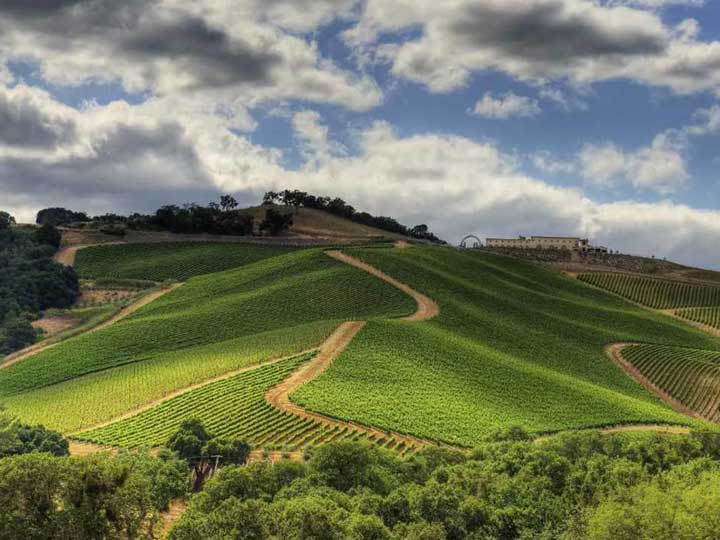 Paso Robles 101 - Image 6