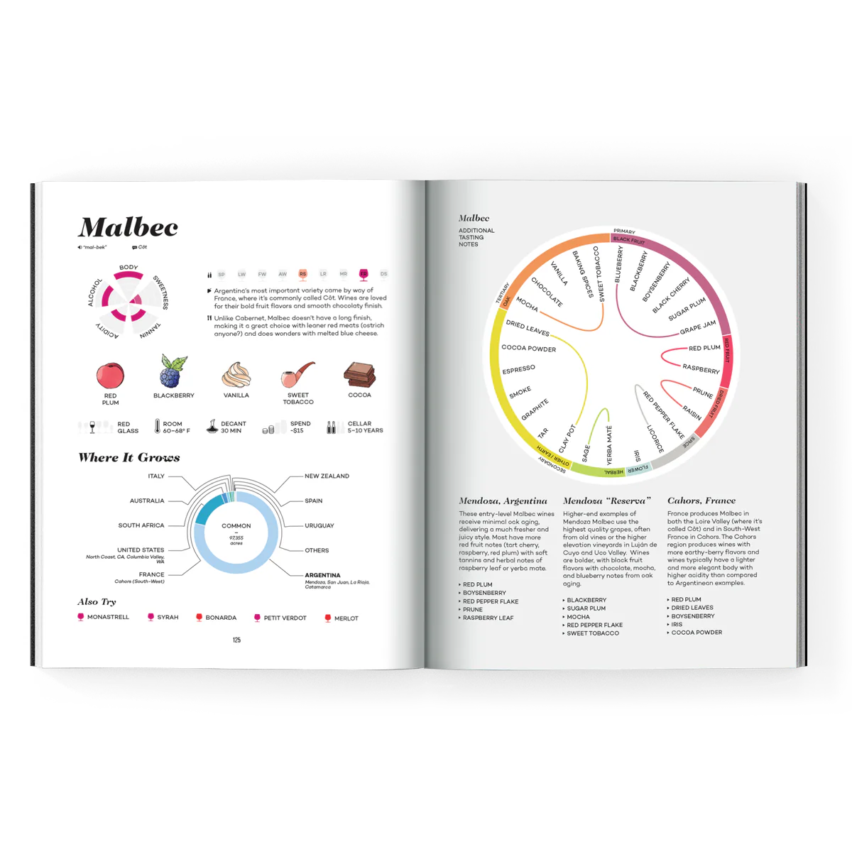The Master Guide - Image 5